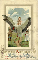 Cupid Told The Stork To Bring A Baby Girl Postcard