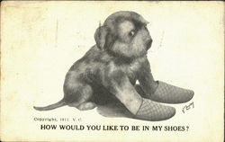 How Would You Like To Be In My Shoes? Dogs Postcard Postcard