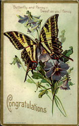 Butterfly Flowers Postcard Postcard