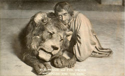 Androcles And The Lion Art Postcard Postcard