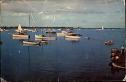 Everyone Has Fun Boating Scituate, MA Postcard Postcard