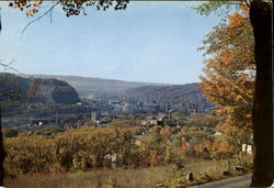 Looking West Postcard