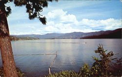 Hayden Lake, Just off Hwy. 95 Postcard