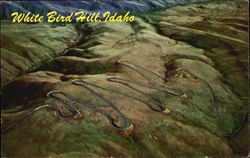 White Bird Hill Scenic, ID Postcard Postcard