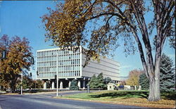 U. S. Federal Building, Fort Street Postcard