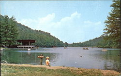 Vogel State Park Blairsville, GA Postcard Postcard