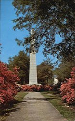 The Signers Monument, 500 Block of Greene Street Augusta, GA Postcard Postcard