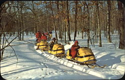 Snowmobiling Scenic, MI Postcard Postcard