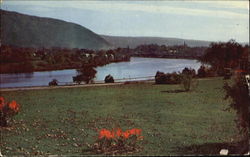 Connecticut River And Bellows Falls Postcard