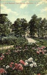 A Bit Of Highland Park Scenery Rochester, NY Postcard Postcard