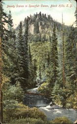 Beauty Scenes In Spearfish Canon Postcard