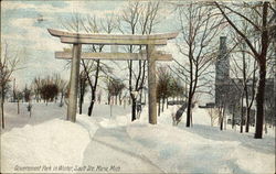 Government Park in Winter Sault Ste. Marie, MI Postcard Postcard