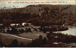 View Showing South Shore And Oquaga Lake House Postcard