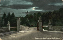 The Entrance State Hospital Postcard