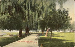 The Willows, Thrall Park Postcard