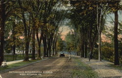 Picturesque Susquehanna Avenue West Pittston, PA Postcard Postcard