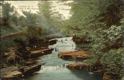 The Glen At Mill Creek Otego, NY Postcard Postcard