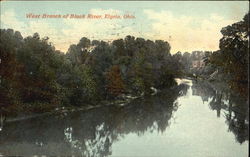 West Branch Of Black River Elyria, OH Postcard Postcard