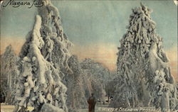 A Winter Scene In Prospect Park Postcard