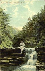 Plotter Kill Falls Schenectady, NY Postcard Postcard