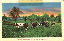 Greetings From Hepler Kansas Postcard Postcard