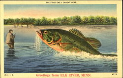 Greetings From Elk River Postcard