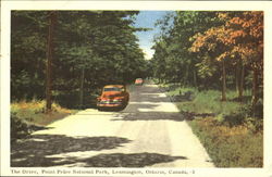 The Drive, Point Pelee National Park Leamington, ON Canada Ontario Postcard Postcard