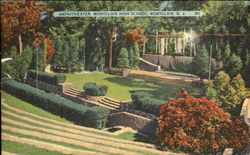 Amphitheater, Montclair High School Postcard