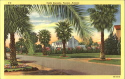 Calle Encanto Tucson, AZ Postcard Postcard