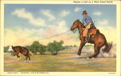 Roping A Calf On A West Texas Ranch Cowboy Western Postcard Postcard