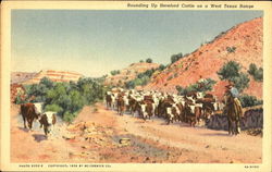 Rounding Up Hereford Cattle On A West Texas Range Cowboy Western Postcard Postcard