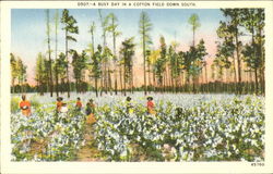 A Busy Day In A Cotton Field Down South Postcard