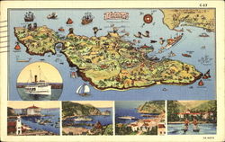 Catalina Island Postcard