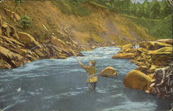 Trout Fishing In Little River, Great Smoky Mountains National Park Postcard