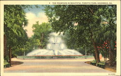 The Fountain In Beautiful Forsyth Park Savannah, GA Postcard Postcard