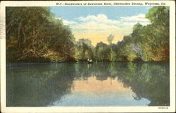 Headwaters Of Suwannee River, Okefenokee Swamp Waycross, GA Postcard Postcard