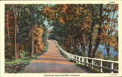 Greetings From Leesville Louisiana Postcard Postcard