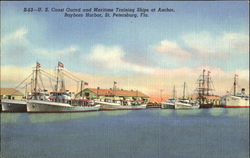 U. S. Coast Guard And Maritime Training Ships At Anchor, Bayboro Harbor St. Petersburg, FL Postcard Postcard