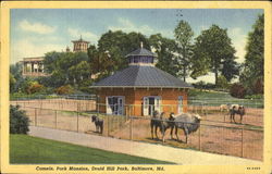 Camels Park Mansion, Druid Hill Park Postcard