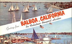 Greetings From Balboa Postcard