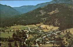 Markleeville California Postcard Postcard