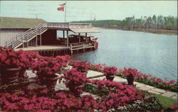 Scene In Bellingrath Gardens Postcard