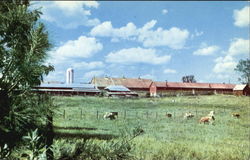 Placid Oaks Farms Saint Bernard, AL Postcard Postcard