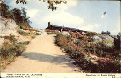 Summit Path On Mt. Cranmore Postcard