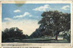 Old Duelling Grounds At City Park New Orleans, LA Postcard Postcard