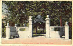 Gate, Harvard College Cambridge, MA Postcard Postcard