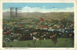 Bird's Eye View of Binghamton Postcard