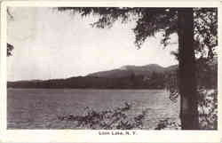 Loon Lake New York Postcard Postcard