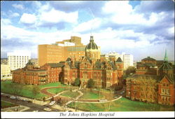 The Johns Hopkins Hospital Baltimore, MD Postcard Postcard