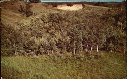 Agassiz Dunes Fertile, MN Postcard Postcard